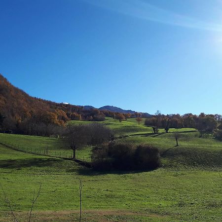 Il Gelso Room&Breakfast Pennabilli Bagian luar foto