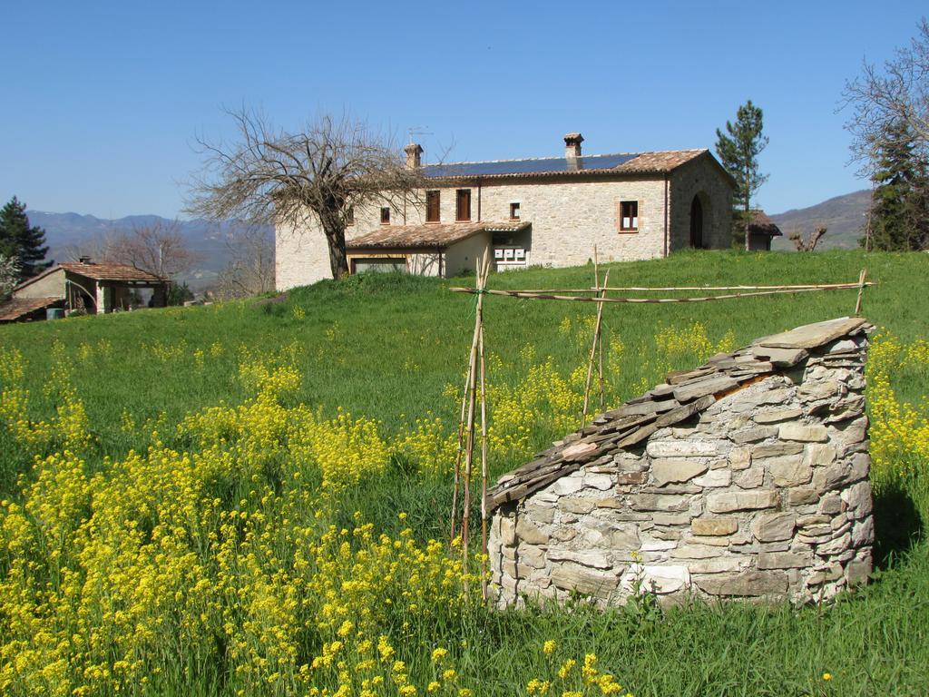 Il Gelso Room&Breakfast Pennabilli Bagian luar foto