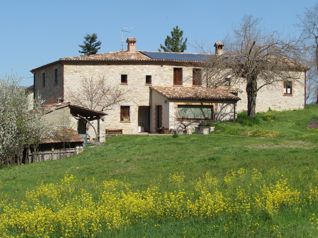 Il Gelso Room&Breakfast Pennabilli Bagian luar foto