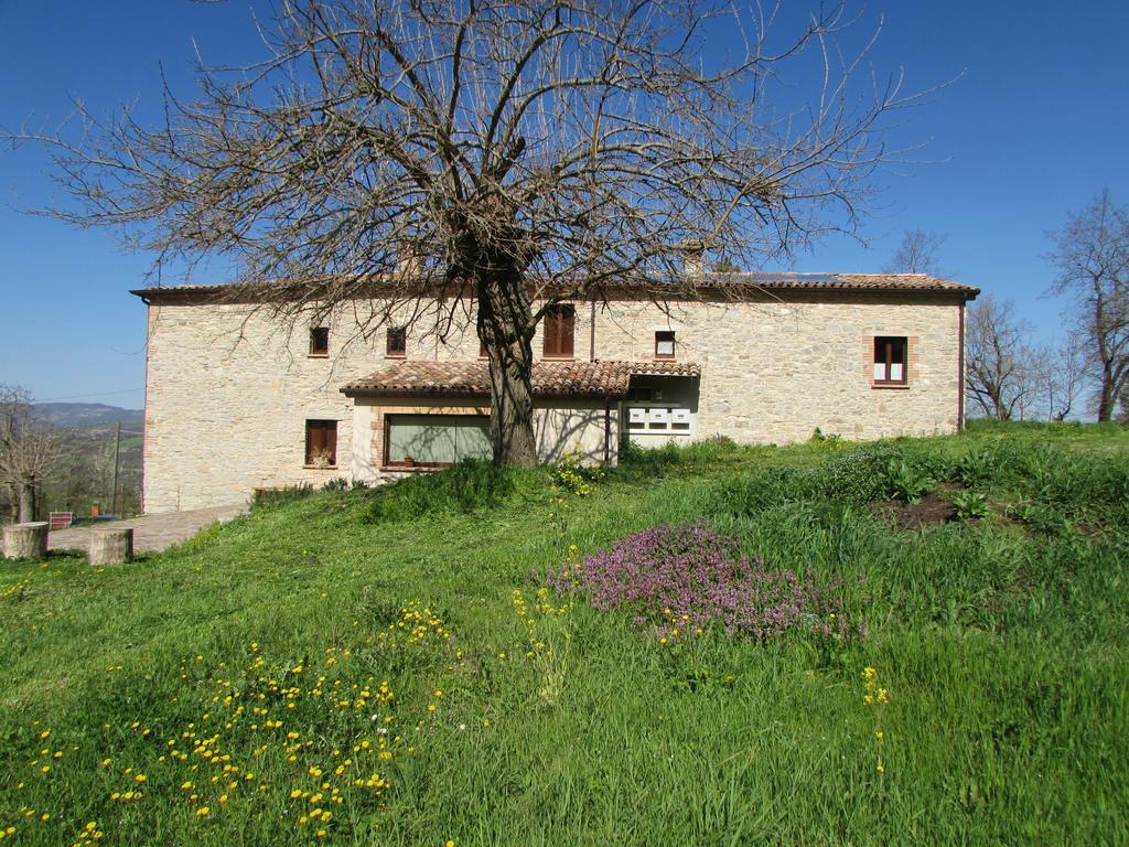 Il Gelso Room&Breakfast Pennabilli Bagian luar foto